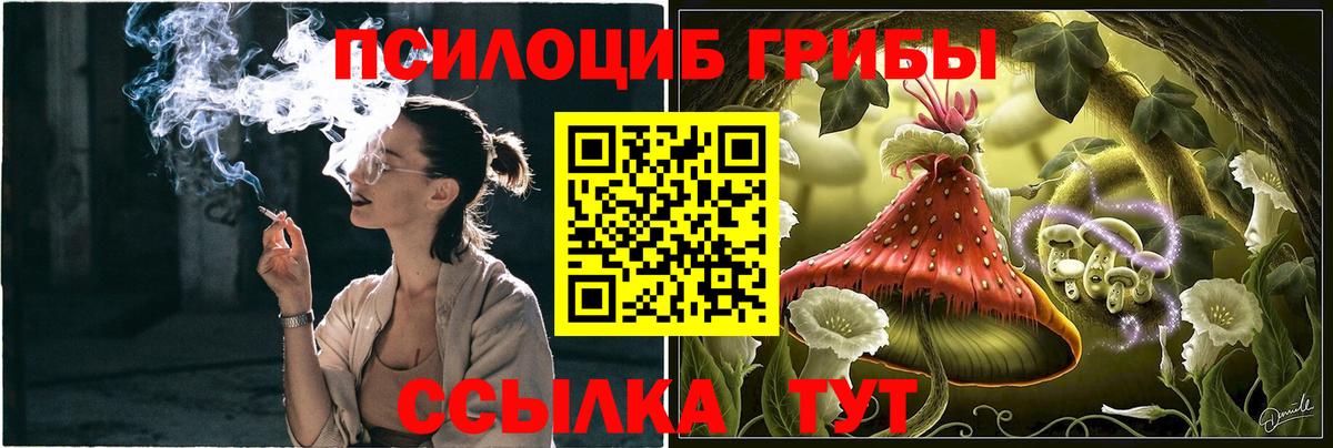 Серпухов  Галлюциногенные грибы MAGIC MUSHROOMS  Псилоцибиновые грибы прущие грибы  Вход с VPN 