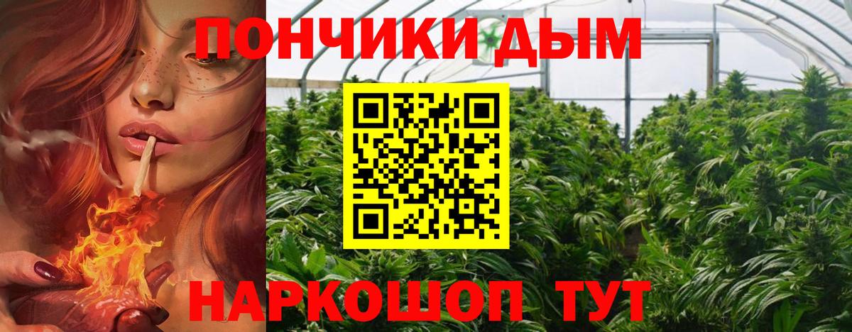 Серпухов  Бошки Шишки гибрид  Вход с VPN  Конопля сатива  Бошки марихуана конопля  Шишки марихуана гибрид 